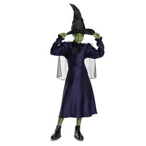 New NBCUniversal Kids' Wicked Halloween Deluxe Elphaba Costume
